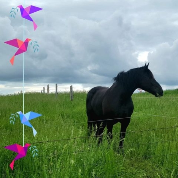 Meet your Posher, Laura - Picture 1 of 1